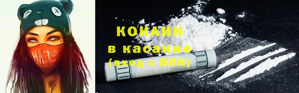 прущие крисы Магас