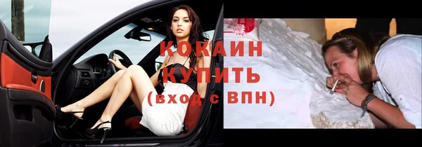 дживик Липки