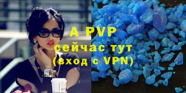 прущие крисы Магас
