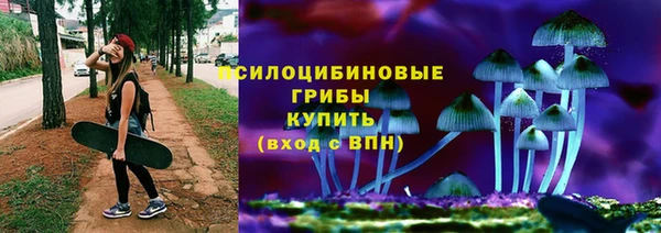 прущие крисы Магас